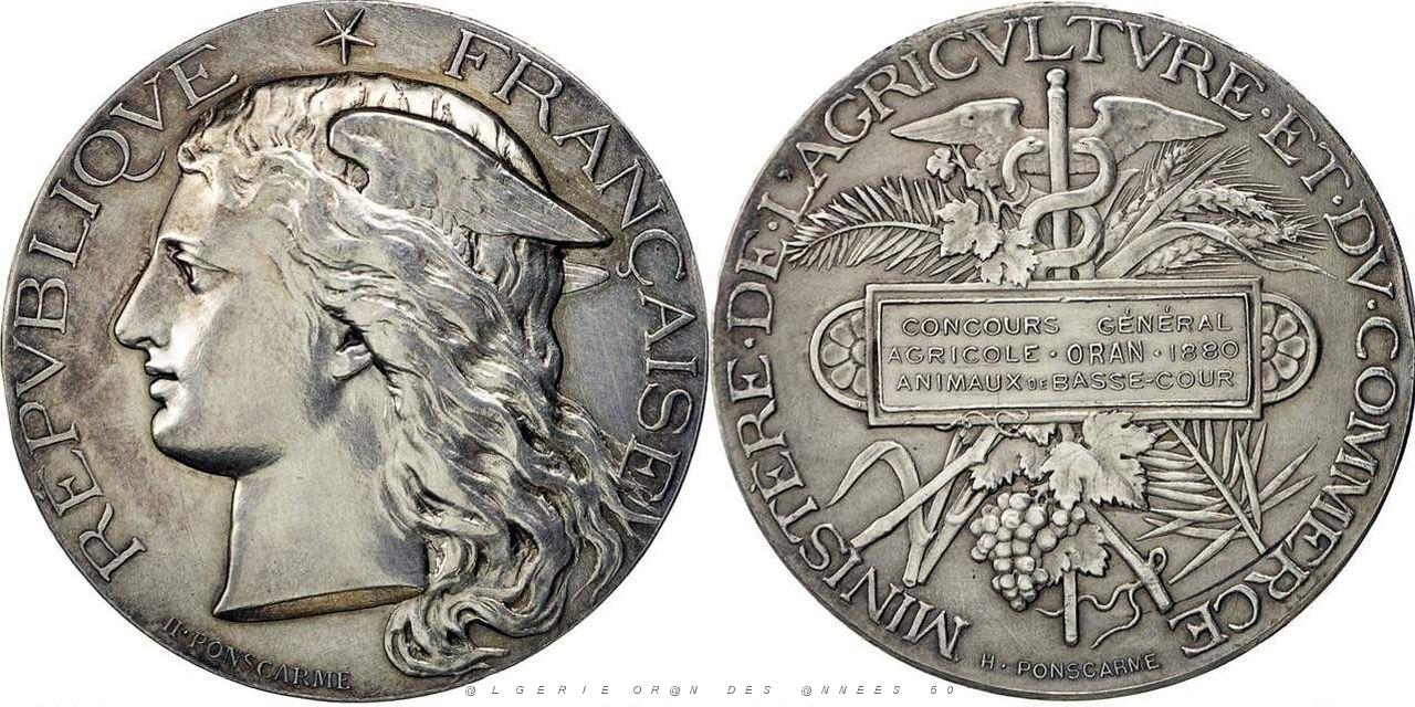 MEDAILLES D AFN 201.jpg